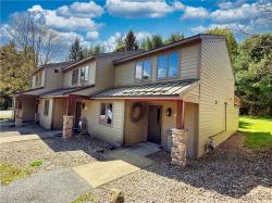 3 Creekside Village Ellicottville, NY 14731