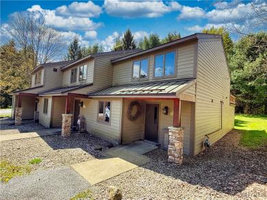 3 Creekside Village Ellicottville, NY 14731