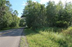 Lot 7 German Road Willet, NY 13863