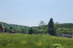 24 Fillmore Drive Ellicottville, NY 14779