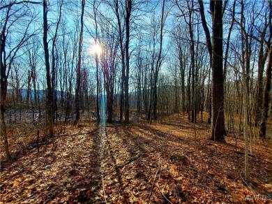 7200 Kent Road Mansfield, NY 14731