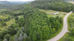 0 Hornell Reservoir Road Fremont, NY 14843