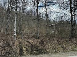 Porter Hollow Road Great Valley, NY 14741