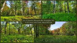 Lot 12 Sunrise Mt Road Kortright, NY 13739