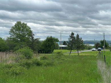 0 Oliver Road Torrey, NY 14527