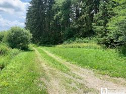 905 Waterman Road Ellington, NY 14747