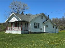 7 Hedgehog Lane Bradford, PA 16701