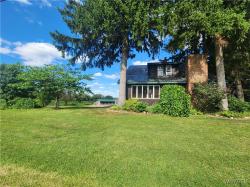 12133 Springville Boston Road Concord, NY 14141