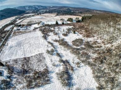 6078 Nys Rte 242 Lot #2 Ellicottville, NY 14731