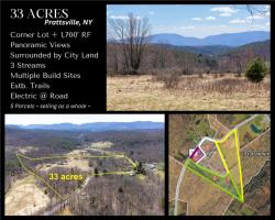 Lot 6 County Route 11 Prattsville, NY 12468