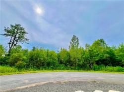 Lot 11 Forest Ridge Drive Rome, NY 13440