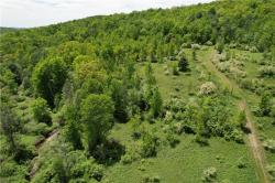 Mallory Road Chemung, NY 14825