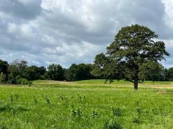 Lot 1 Woodruff Road Rush, NY 14543