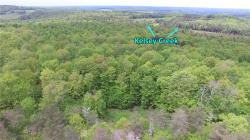 Lot 15.1 Ward Loomis Road Oxford, NY 13830