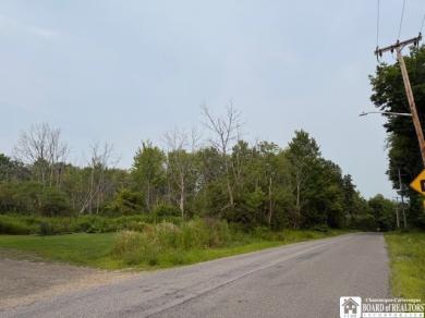Horton Road Ellicott, NY 14701