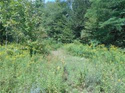 0 Cheeseman Hill Road Freedom, NY 14065
