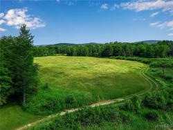 0 Toad Hollow Road Mansfield, NY 14755