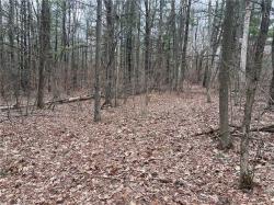 Lot - 62.1 Welty Road Lindley, NY 14858