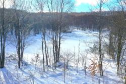 7475 Dublin Road Mansfield, NY 14779