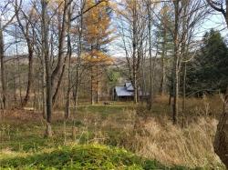 1718 State Highway 51 Butternuts, NY 13776