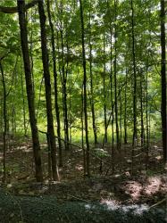 Lot 5 Little Dingle Hill Road Andes, NY 13731