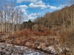 6010 Nys Rte 242 Lot #6 Ellicottville, NY 14731