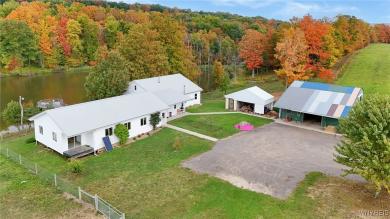 8246 Ballard Road Centerville, NY 14735