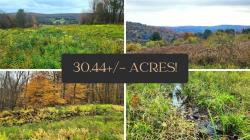 Lot 1 & 10 State Hwy 41 Afton, NY 13730
