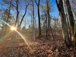 Oak Hill Road Baldwin, NY 14861