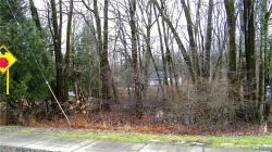 0 Mcclanathan Avenue S Vienna, NY 13157