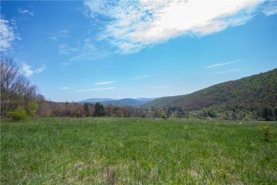34135 State Highway 28 Andes, NY 13731