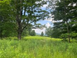 0 Huntley Hollow Road Colchester, NY 13752