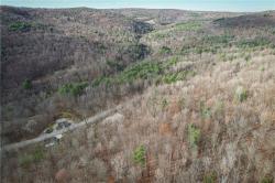 1188 Braybrook Road Chemung, NY 14825