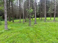 3453 Duttun Loop Lane Clarksville, NY 14727