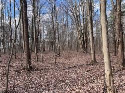 0 Gowens Road Evans, NY 14006