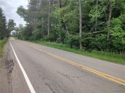 Trevett Road Concord, NY 14141