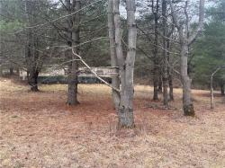 9754 Welty Road Lindley, NY 14858