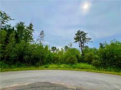 Lot 10 Forest Ridge Drive Rome, NY 13440