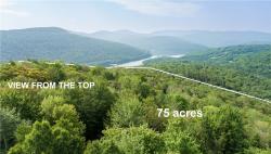 Lot 28.1 Shaver Hollow Andes, NY 13731