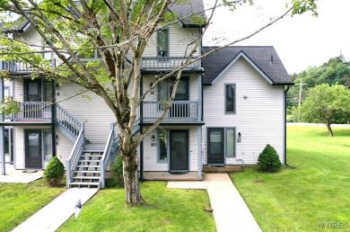 10 Wildflower Ellicottville, NY 14731
