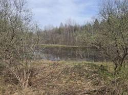 Doyle Road Brookfield, NY 13485