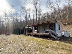 595 Sanford Hollow Road Genesee, NY 14754