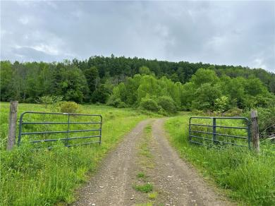 7739 Monihan Road Wirt, NY 14739