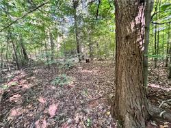 Lot 3 Lockwood Run Road E Baldwin, NY 14902