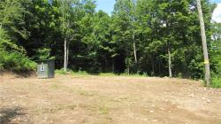 0 Boulder Mountain Road Andes, NY 13731