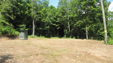 0 Boulder Mountain Road Andes, NY 13731