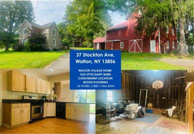 37 Stockton Avenue Walton, NY 13856