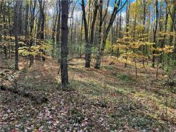 00 Wolf Creek Road Clarksville, NY 14727
