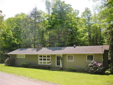 Castile Ny And Letchworth Valley Real Estate