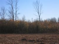 VL6 Staley Road, Grand Island, NY 14072